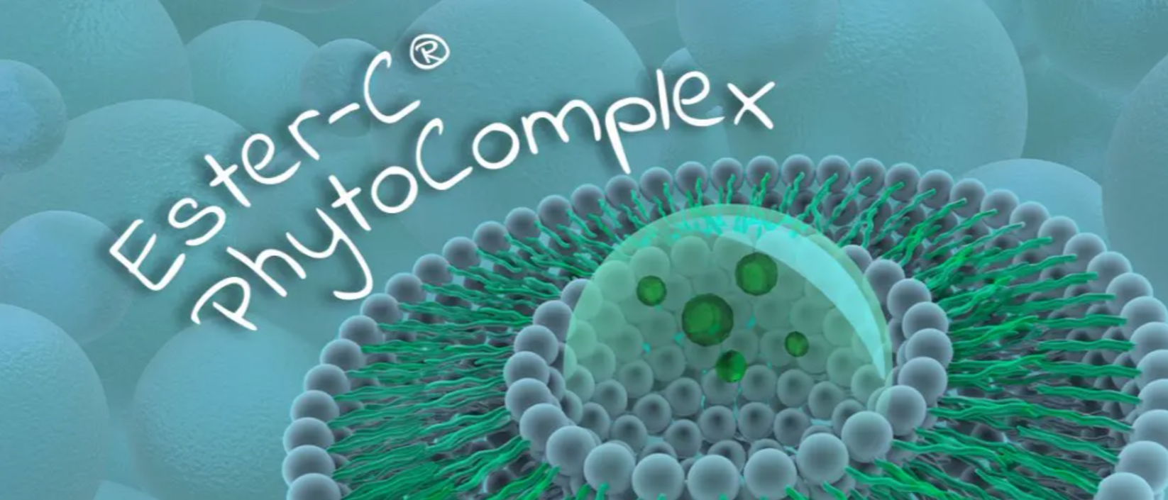 Vitamine C Liposomale en poudre de qualité Ester-C